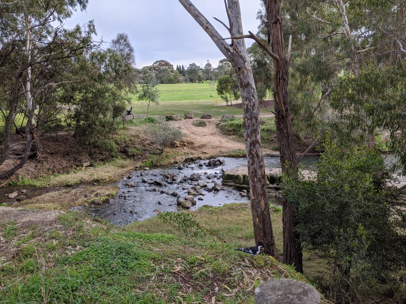 Edgars Creek is a short walk away and a popular off-lead area for dogs to walk and swim