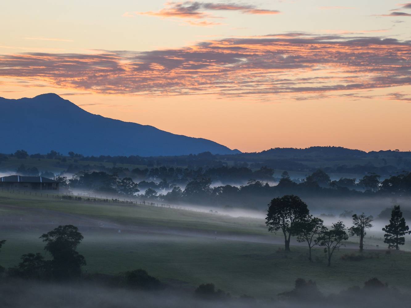 Wintry dawn over Mt Bartle Frere