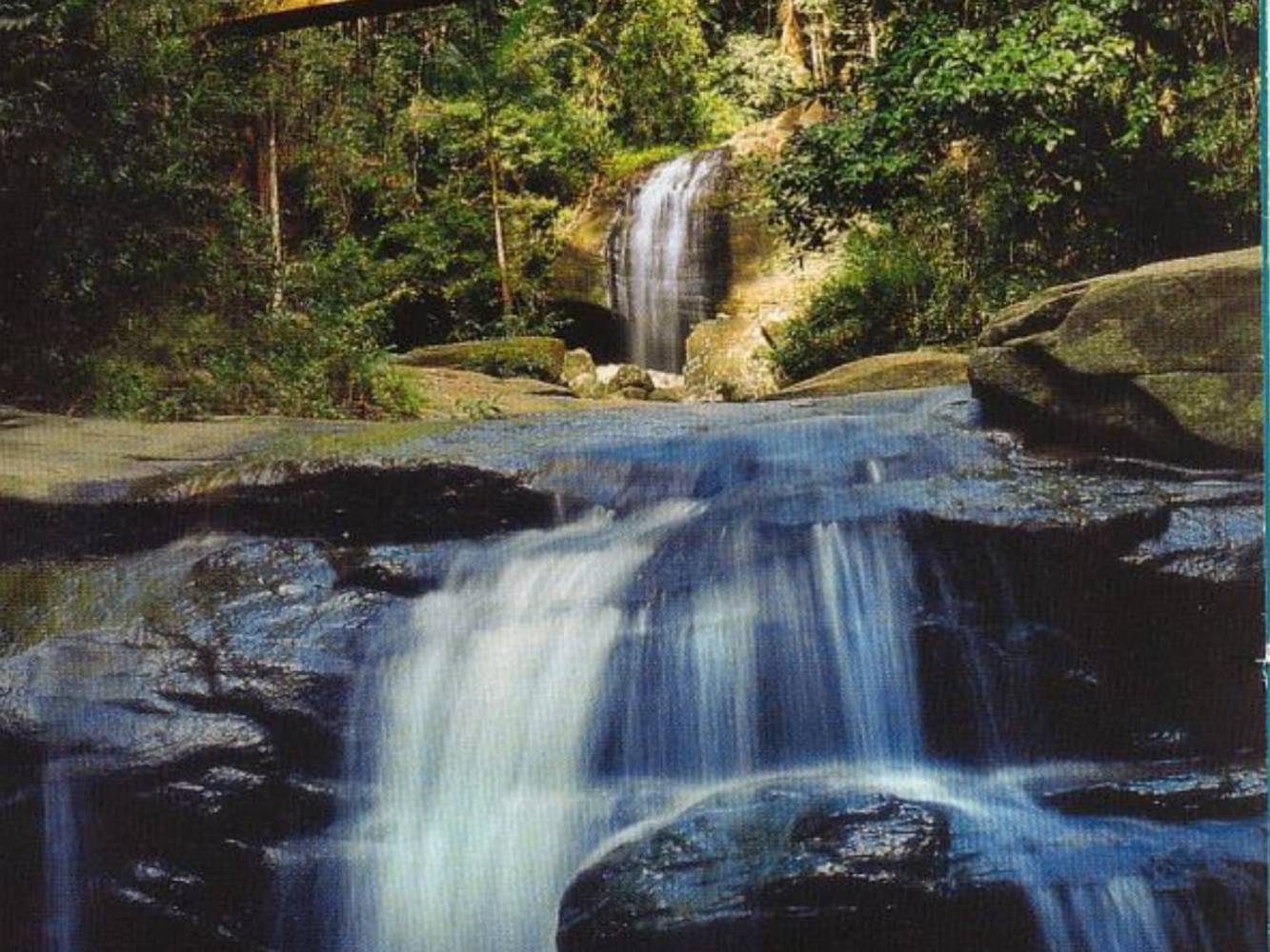 Waterfall at Buderim Forest Park