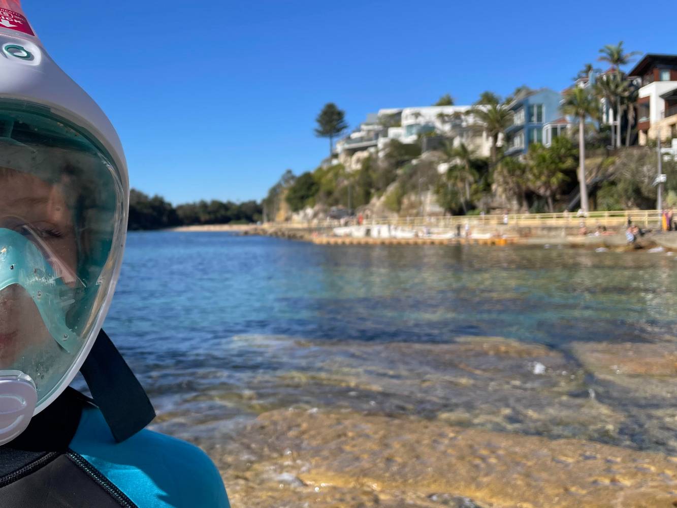 Snorkelling, Manly
