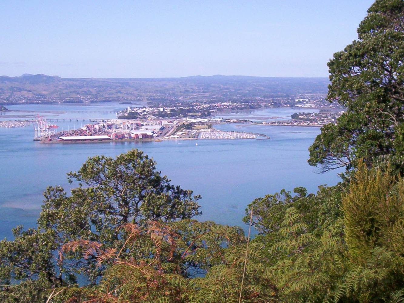 Tauranga harbour and Kaimai ranges that surround Tauranga