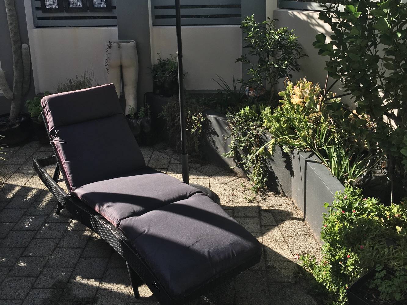 Courtyard sun lounge (plus umbrella)
