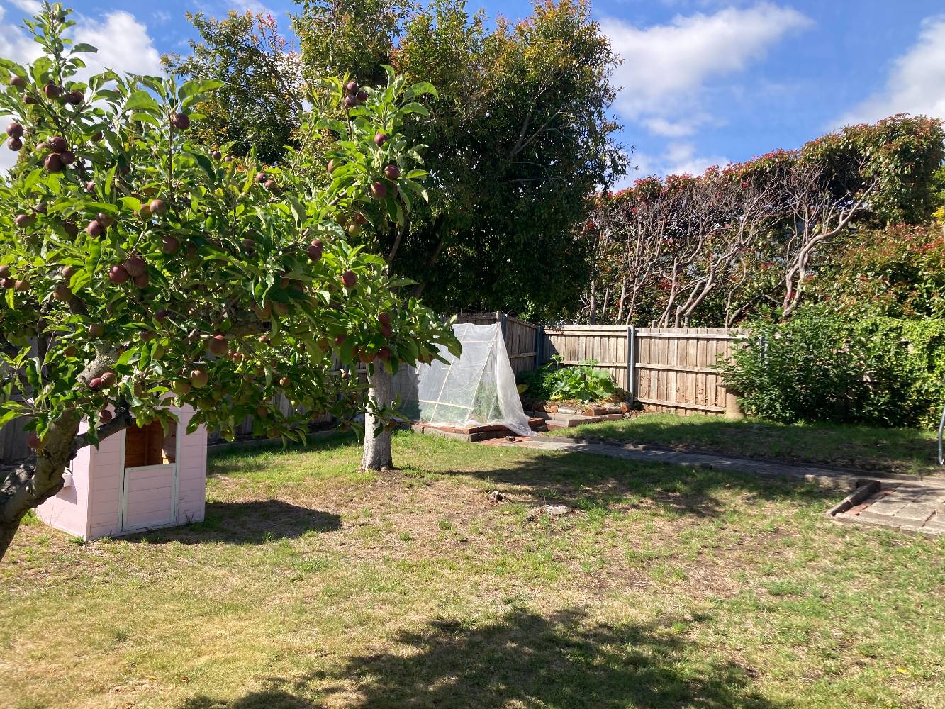 Backyard with vegie patch, trampoline and outdoor area
