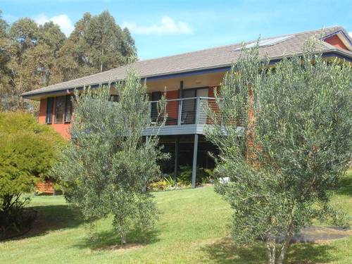 Back of house,olive grove