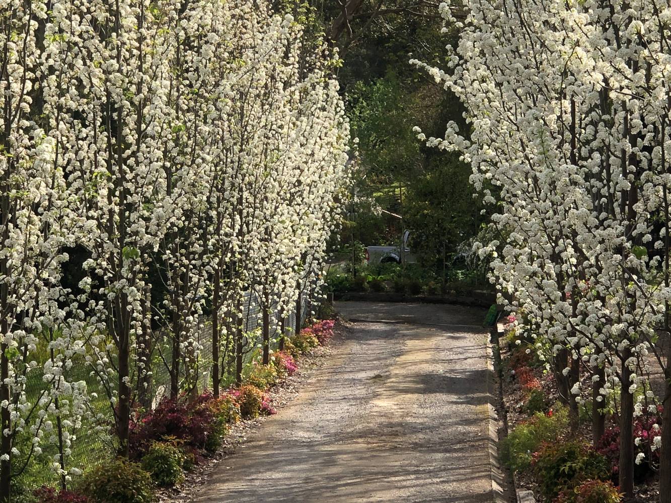 Spring driveway