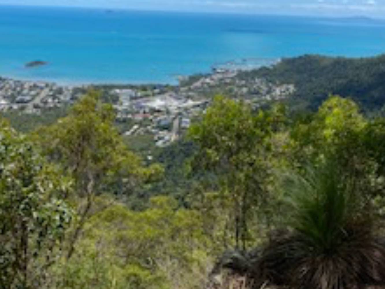 View from Conway National Park