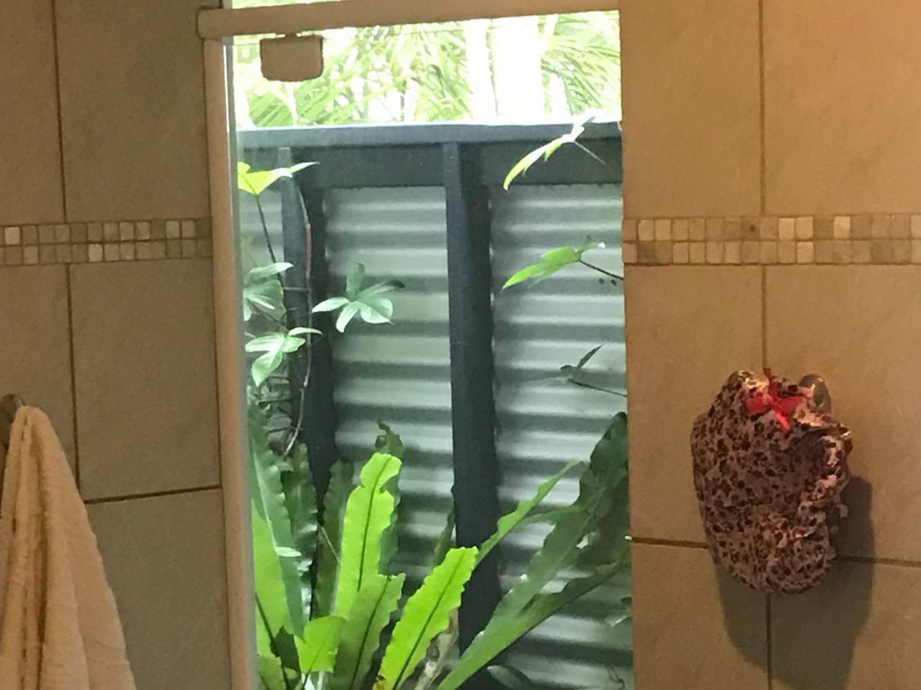 shower with courtyard