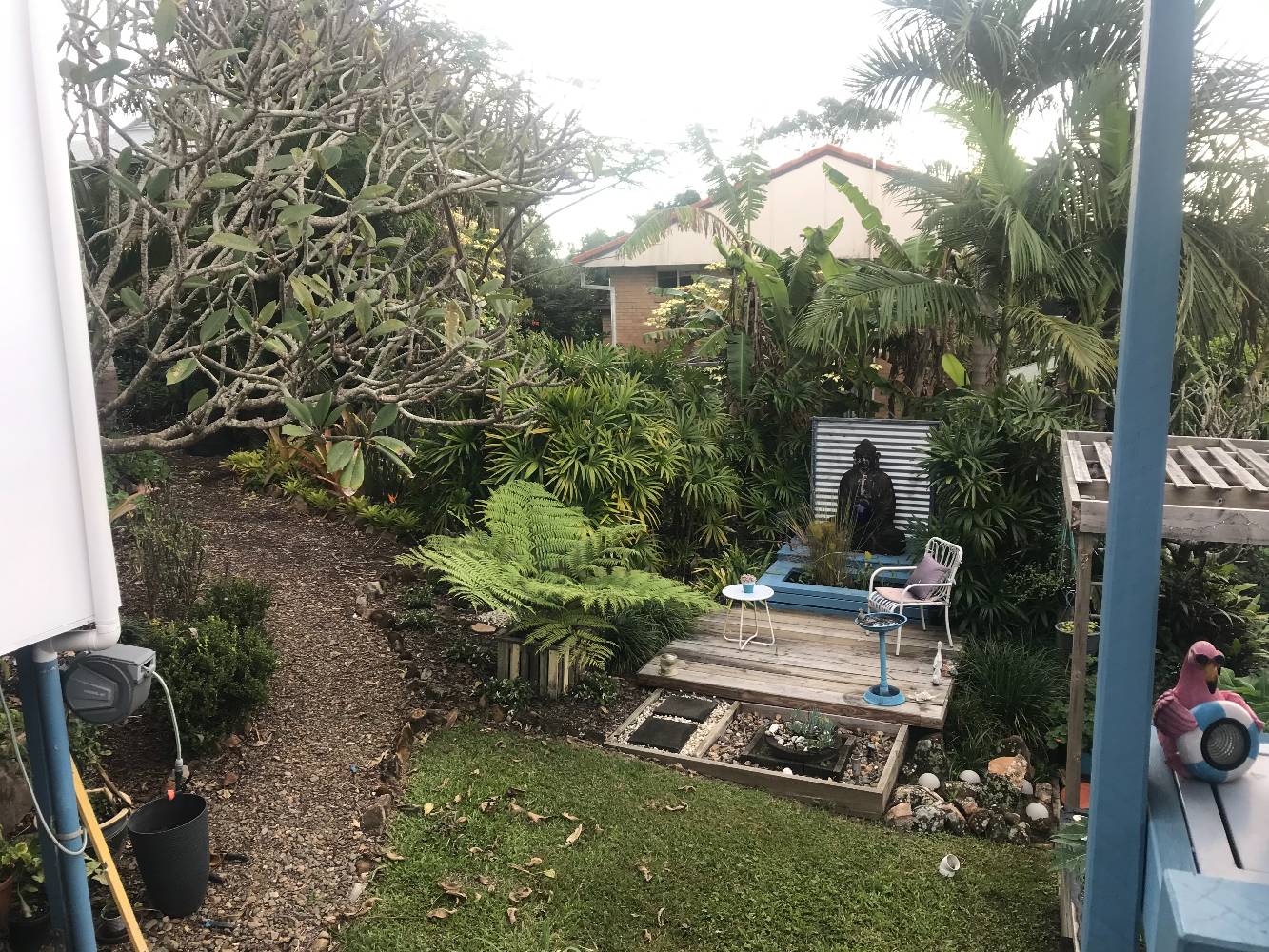 back yard