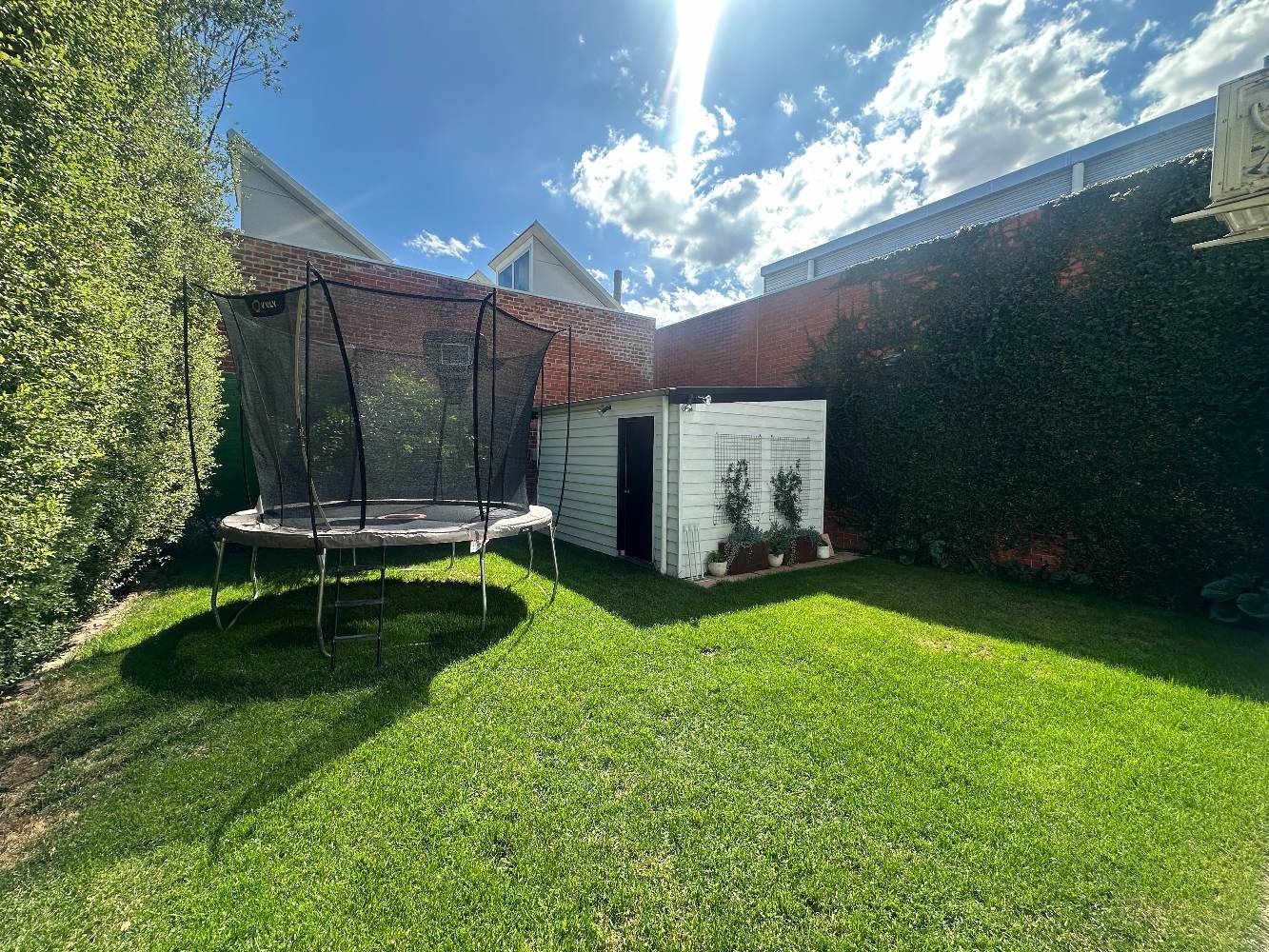 Backyard