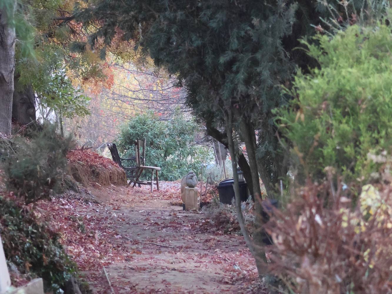 Garden path