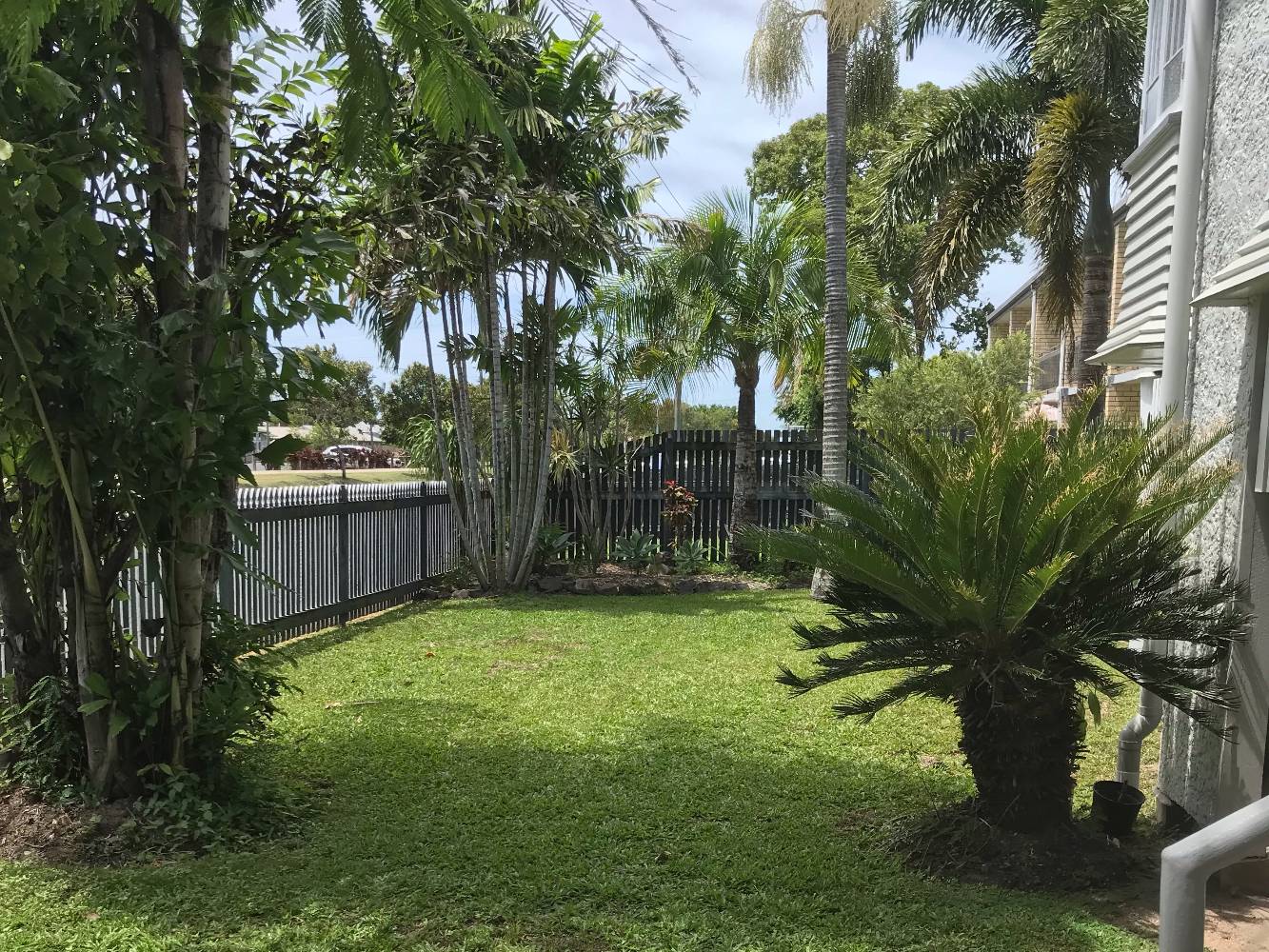 Front yard