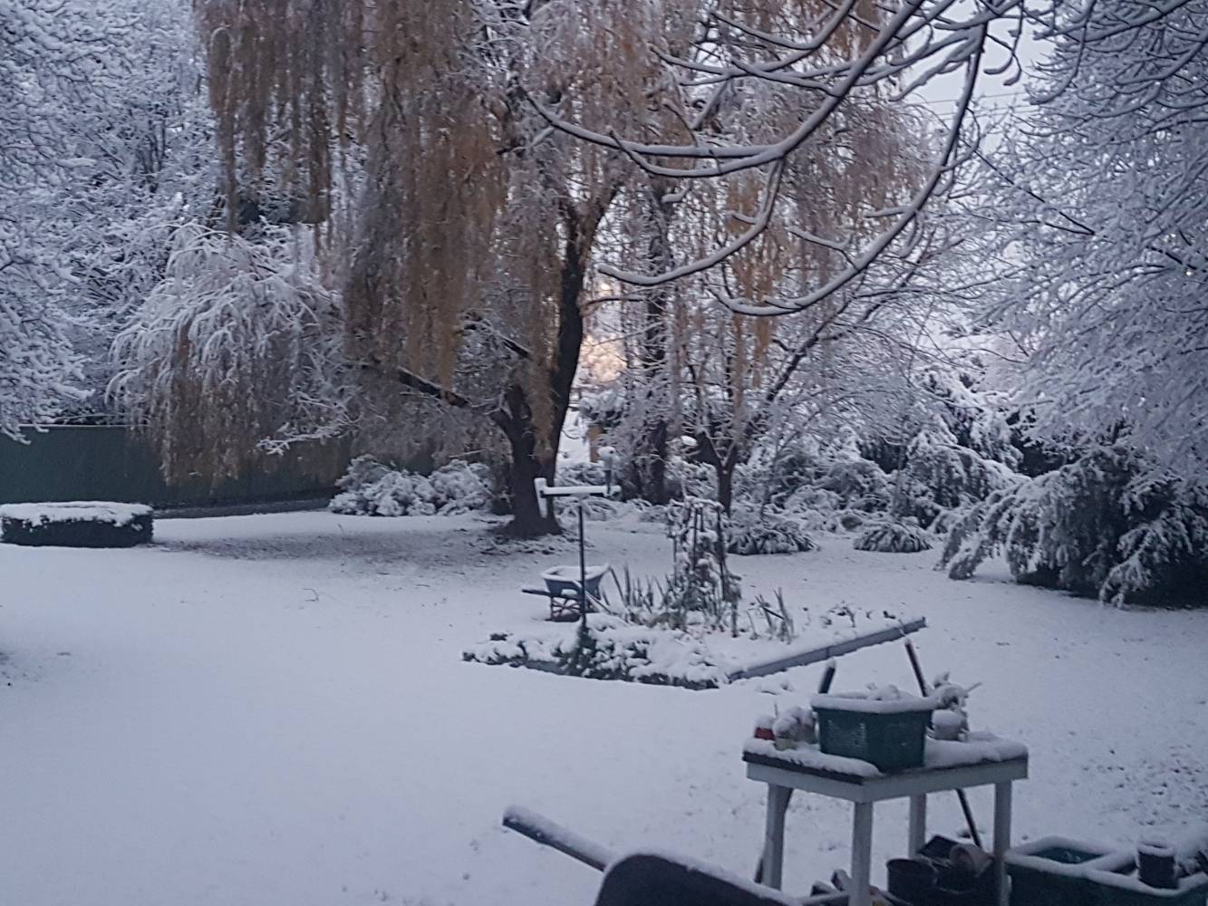 Winter snow