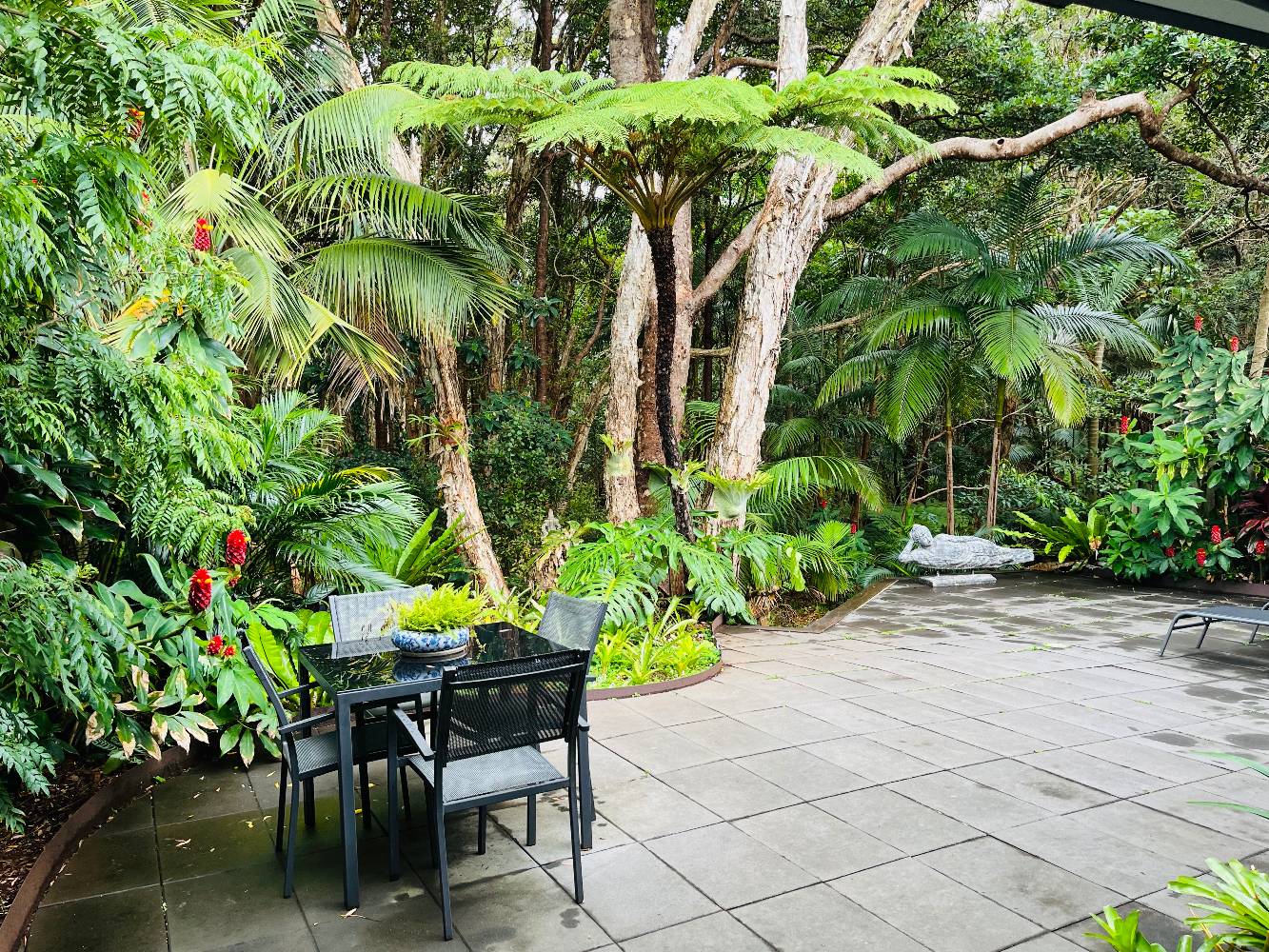 The back yard and rain forest.