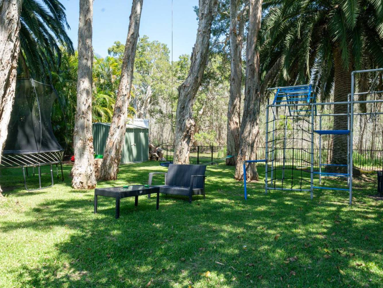 Backyard