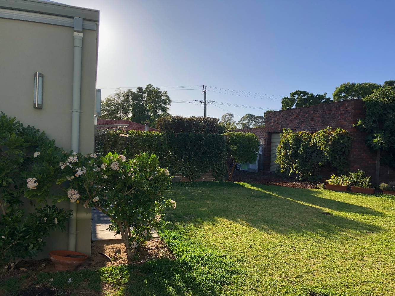 back yard