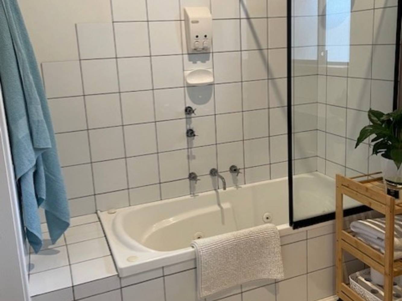 Bathroom shower