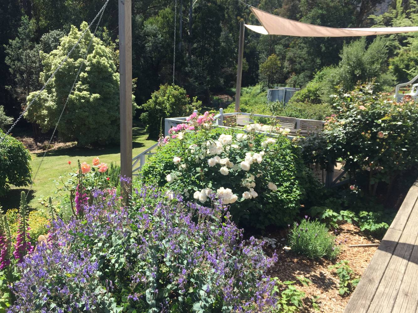 Garden to creek and river plus dining deck