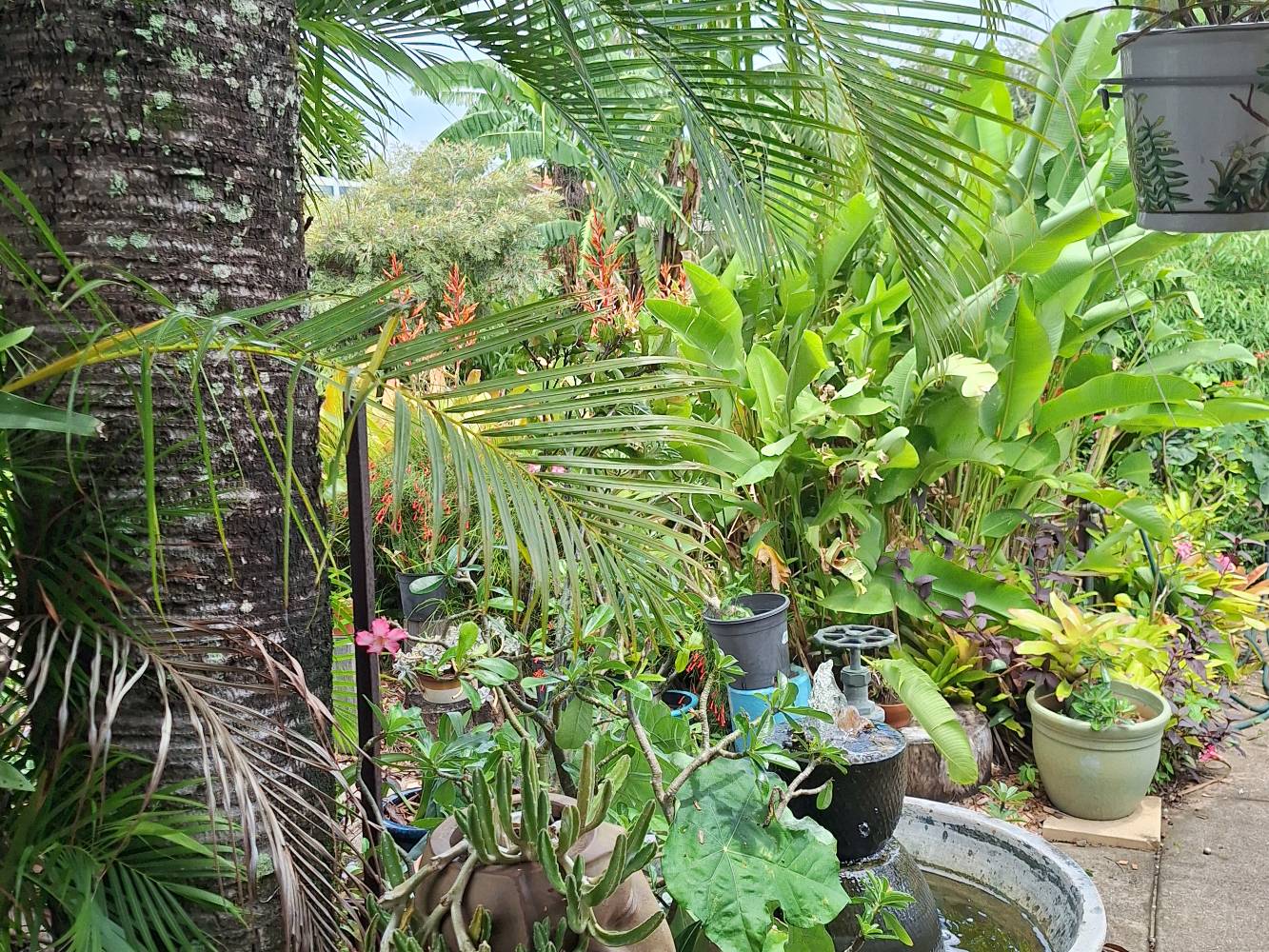 A garden area
