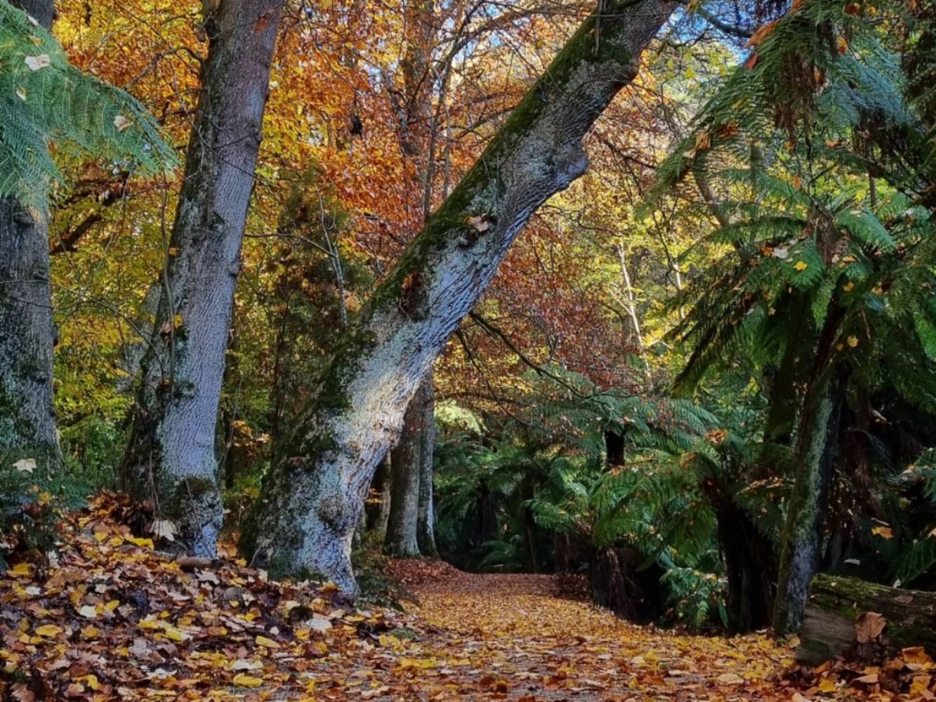 Gorgeous walking trails