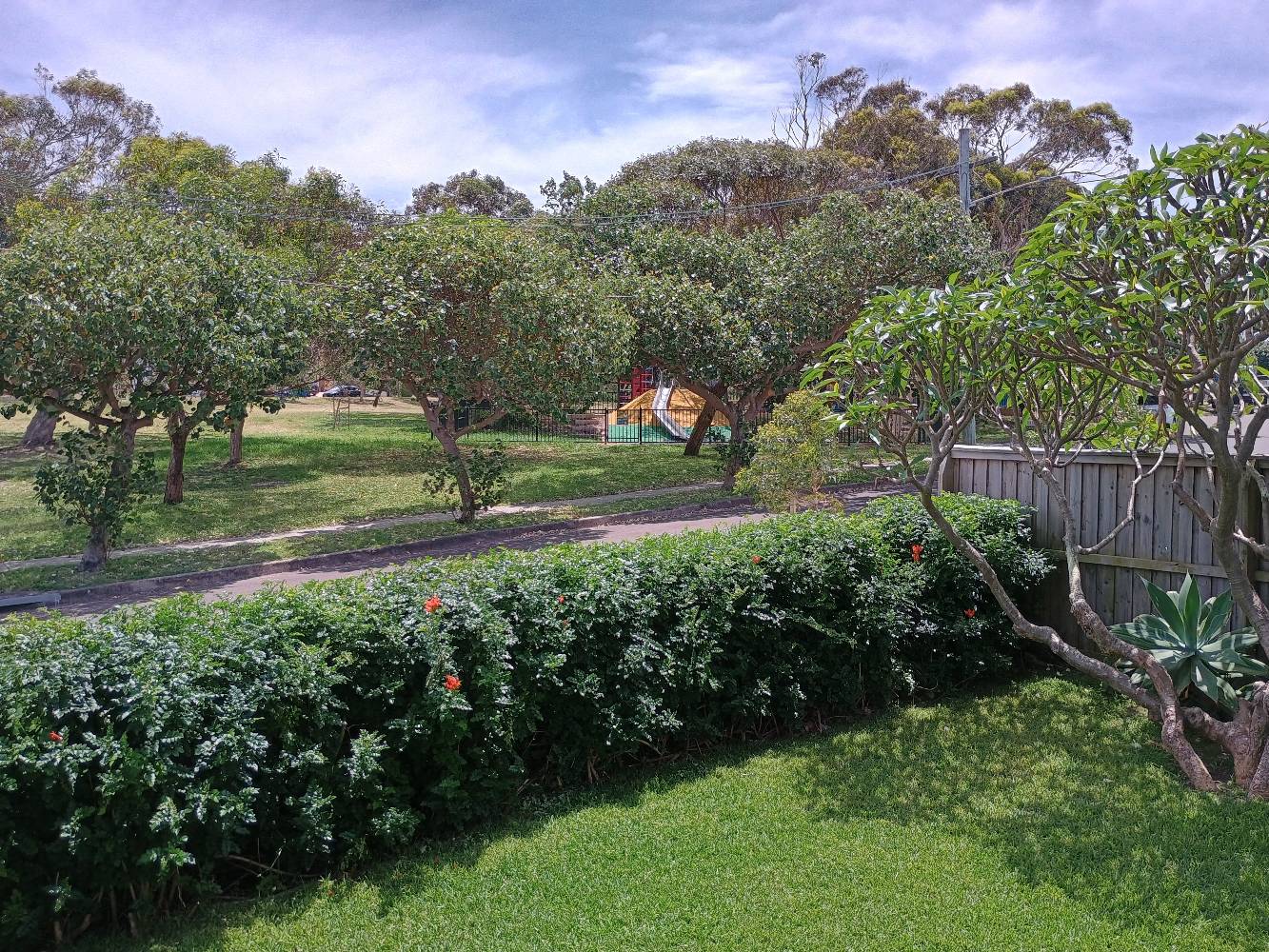 Park view 