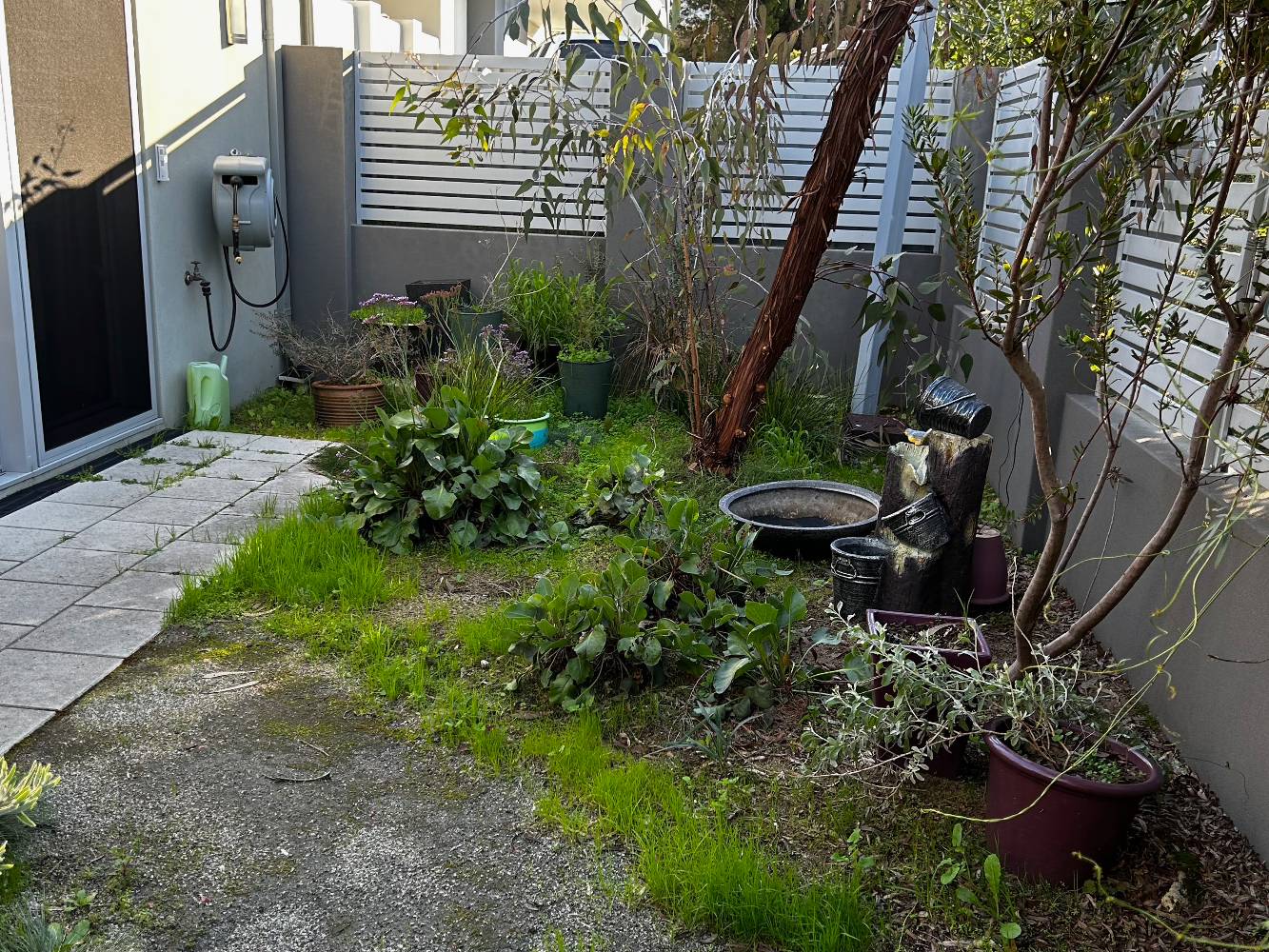 front garden