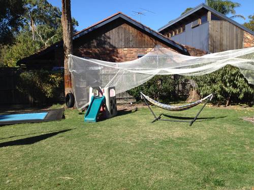 Fruit trees (plum, apricot & peach), Hammock - Backyard