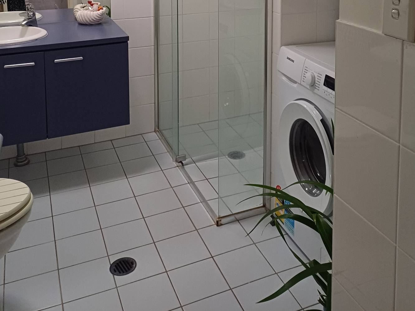 Downstairs bathroom and laundry