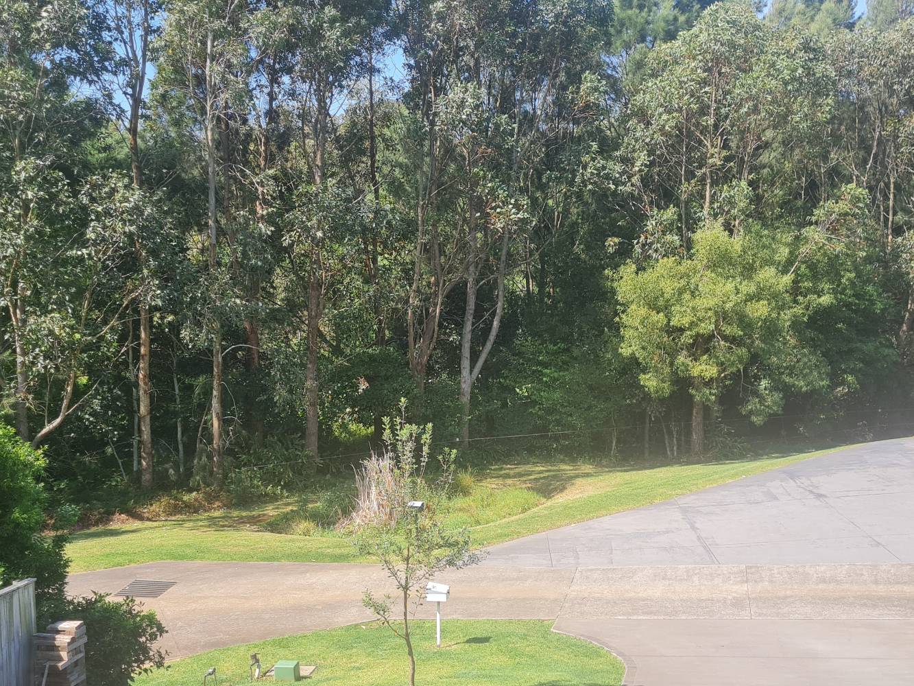 view from the front balcony