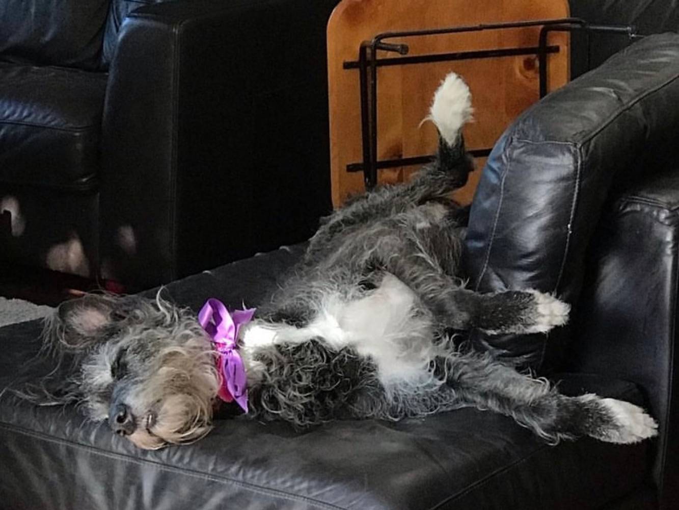Betty on the couch 