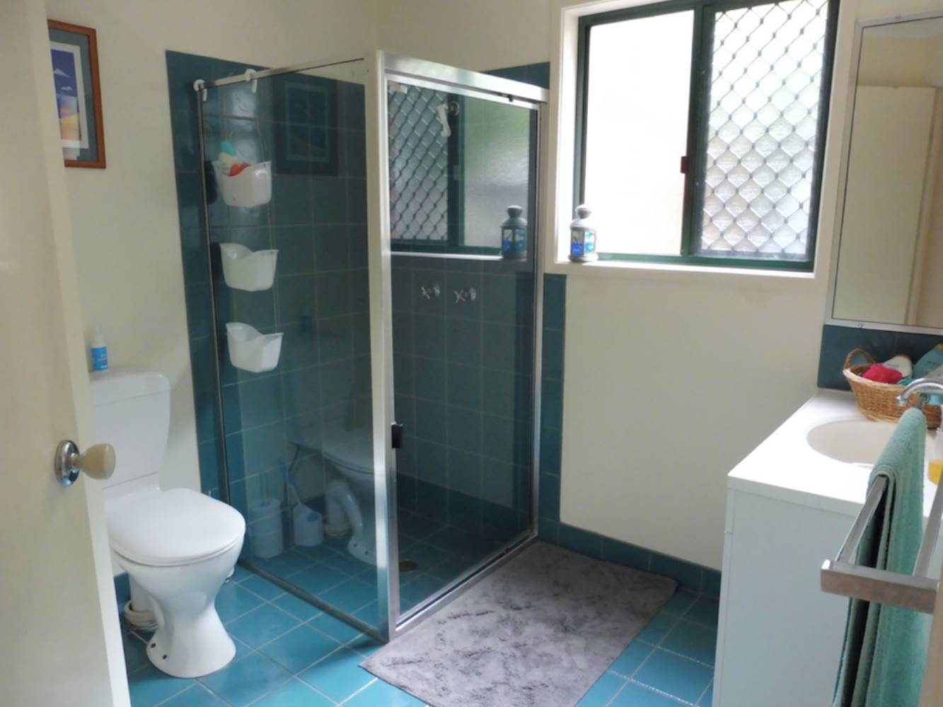 guest bathroom - downstairs