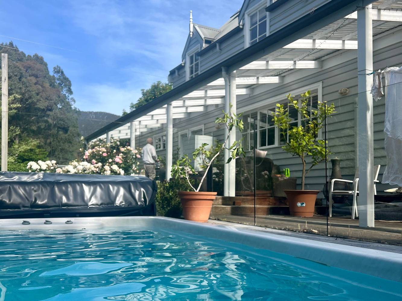 Swim spa